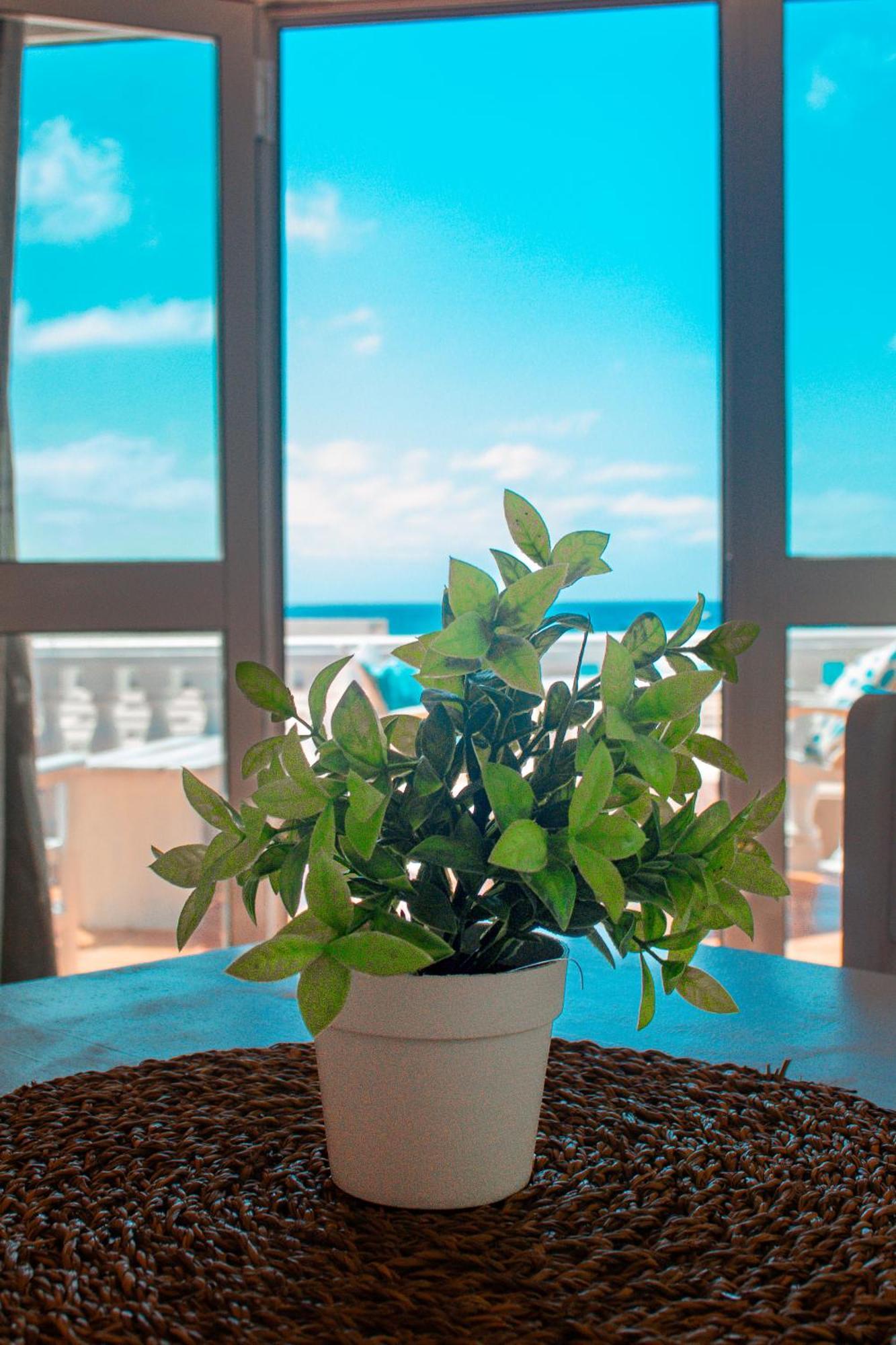 Vista Mar - Seafront Holiday Apartments Santa Maria Eksteriør billede